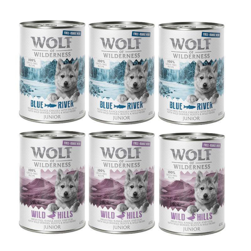 Bitiba Provalo Wolf of Wilderness Junior umido per cane Offerta esclusiva