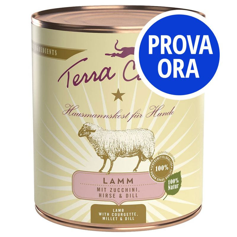 Bitiba Provalo Set misto Terra Canis 12 x 800 g