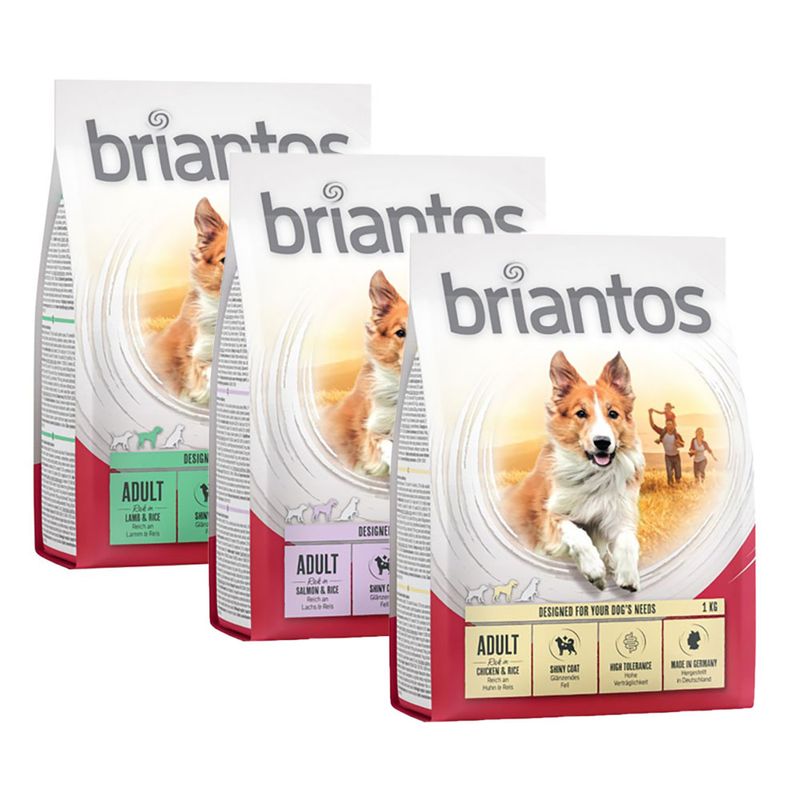 Bitiba Provalo 3 x 1 kg Briantos Adult Latest fashion