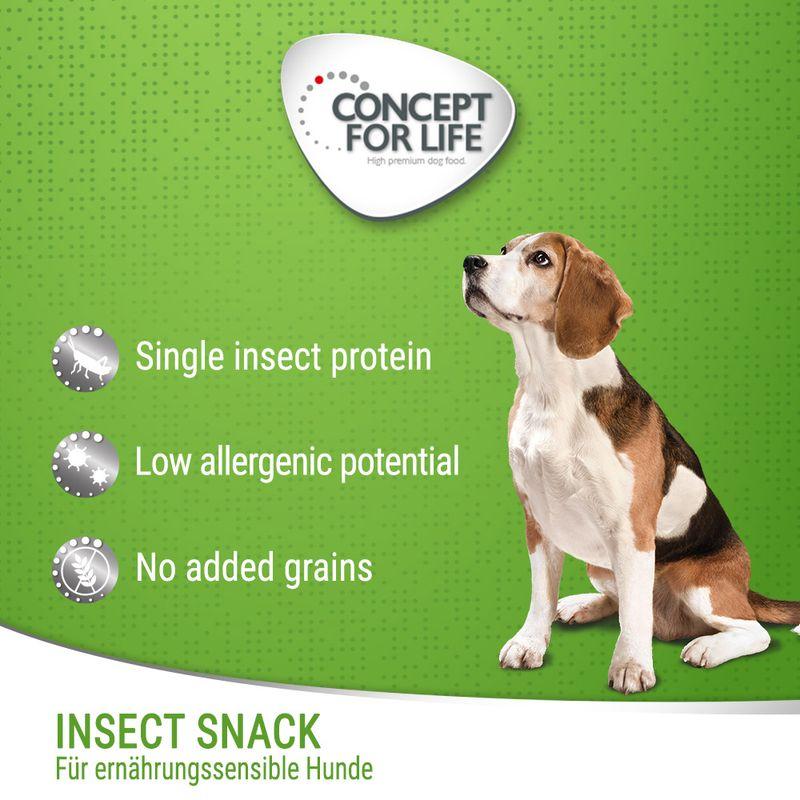 Bitiba Provalo Concept for Life Insect Snack 2 x 100 g Offerte esclusive