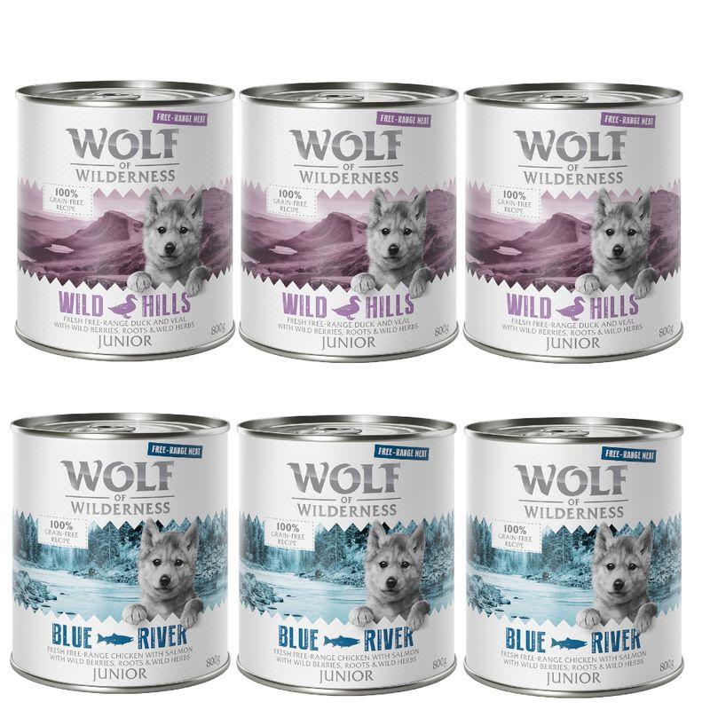 Bitiba Wolf of Wilderness Pacco misto 6 x 800 g umido per cane Ultimo giorno