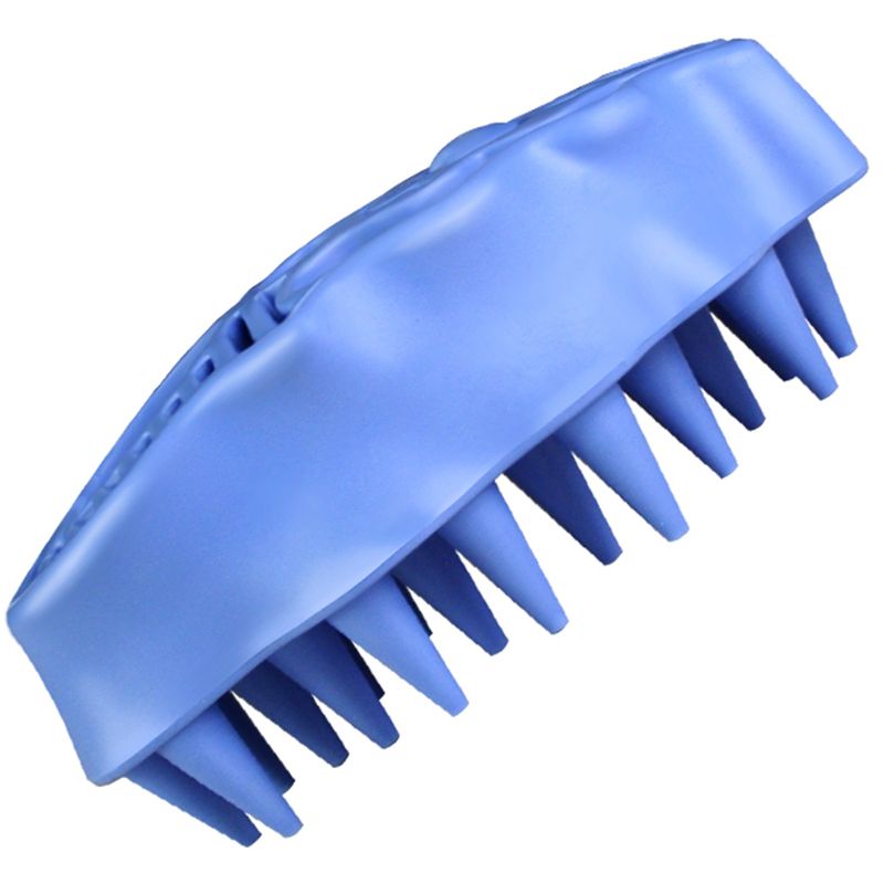 Bitiba Spazzola KONG Dog Zoom Groom Only for today