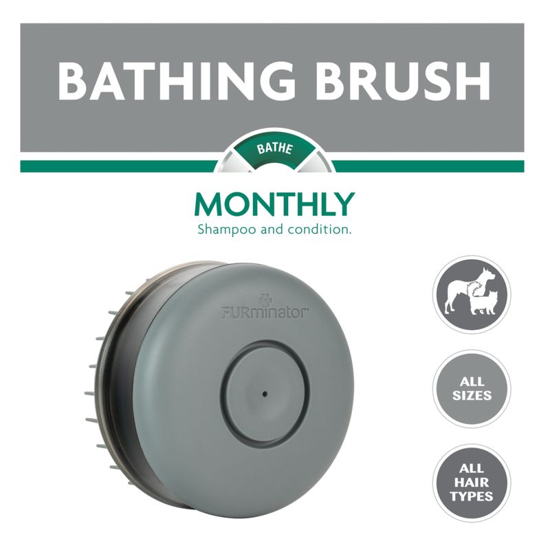 Bitiba FURminator Bathing Brush Enormi sconti