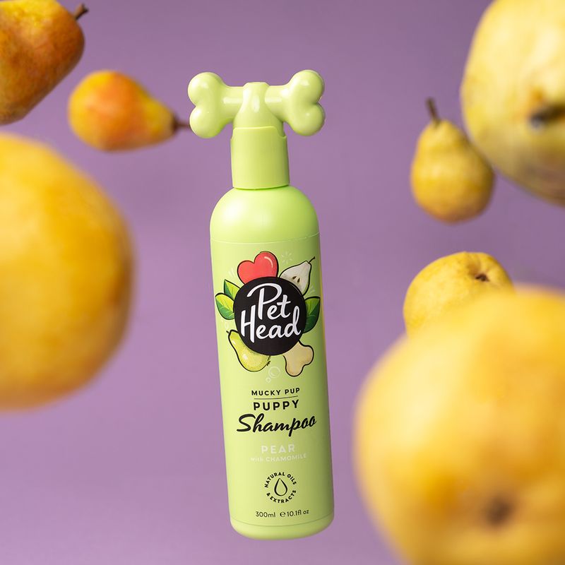 Bitiba Pet Head Mucky Puppy 50% di sconto con spedizione gratuita