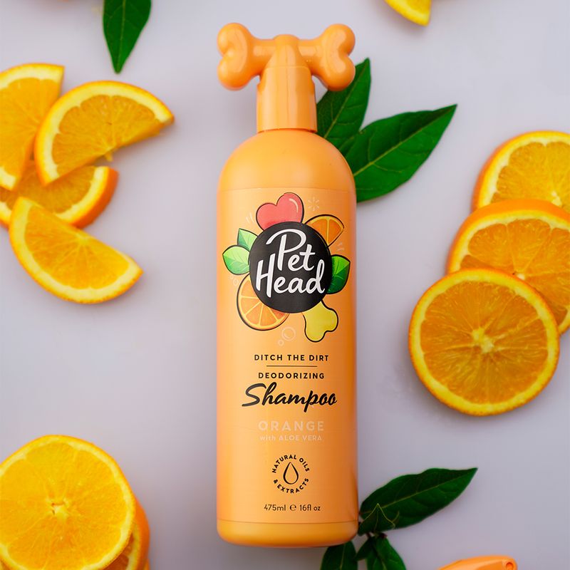 Bitiba Pet Head Shampoo Ditch The Dirt Nuovo