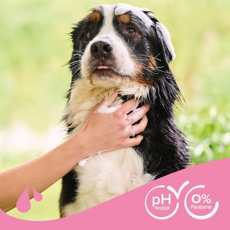 Bitiba Beaphar Shampoo antinodi per cani Qualità Garantita