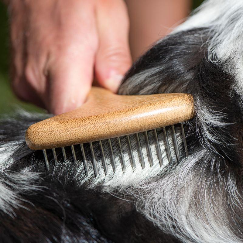 Bitiba kooa Pettine a rastrello in bambù con denti rotanti Convenienza