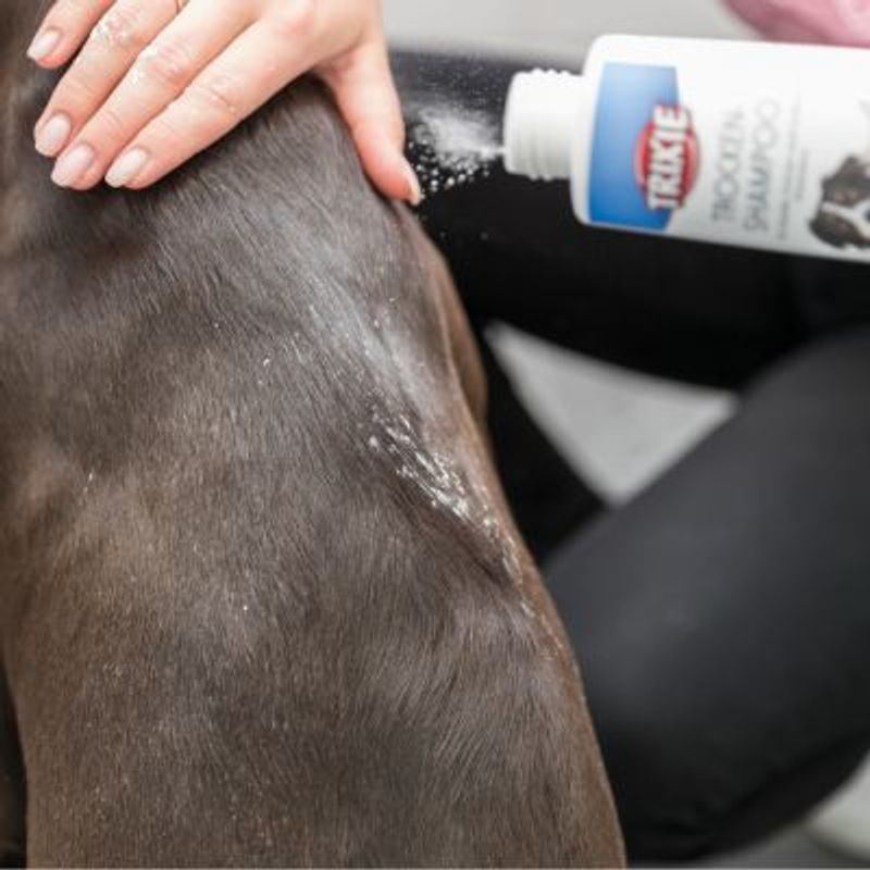 Bitiba Trixie Shampoo secco per cani Nuova