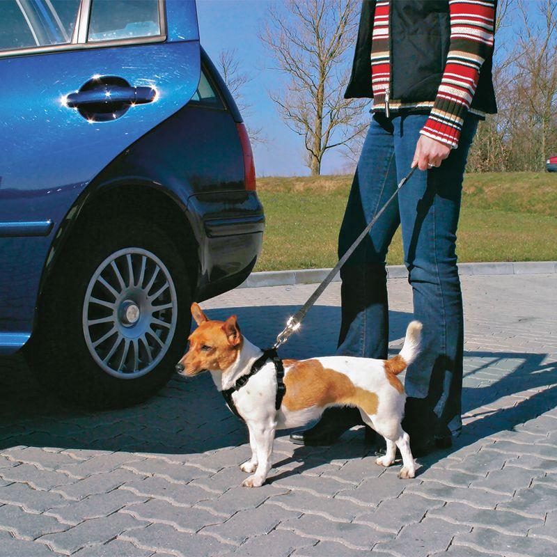 Bitiba Guinzaglio corto per auto Trixie Friends on Tour Moda
