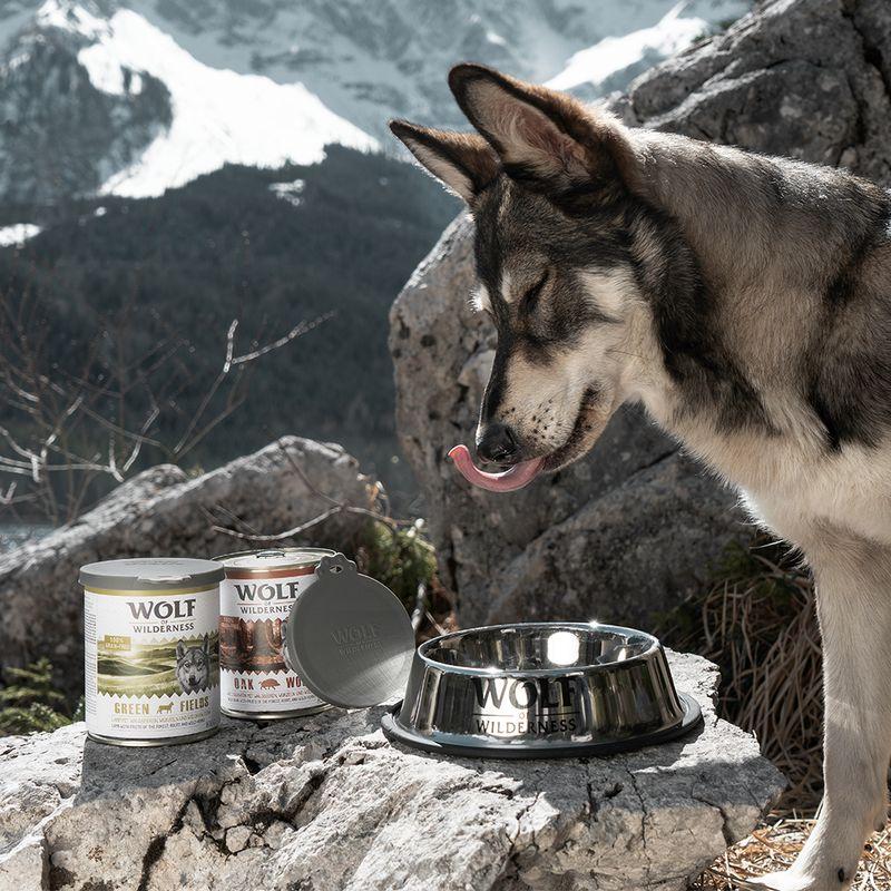 Bitiba Coperchio per lattine Wolf of Wilderness Sconto di tempo limitato
