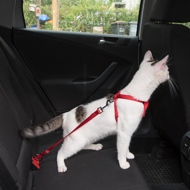 Bitiba Pettorina da automobile per gatti Trixie Offerta San Valentino