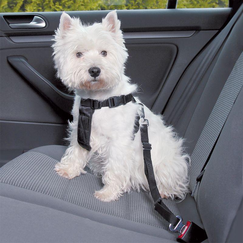Bitiba Pettorina con cintura di sicurezza per auto Trixie - S Offerte esclusive