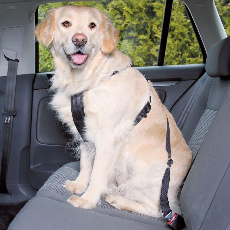 Bitiba Pettorina con cintura di sicurezza per auto Trixie - S Offerte esclusive