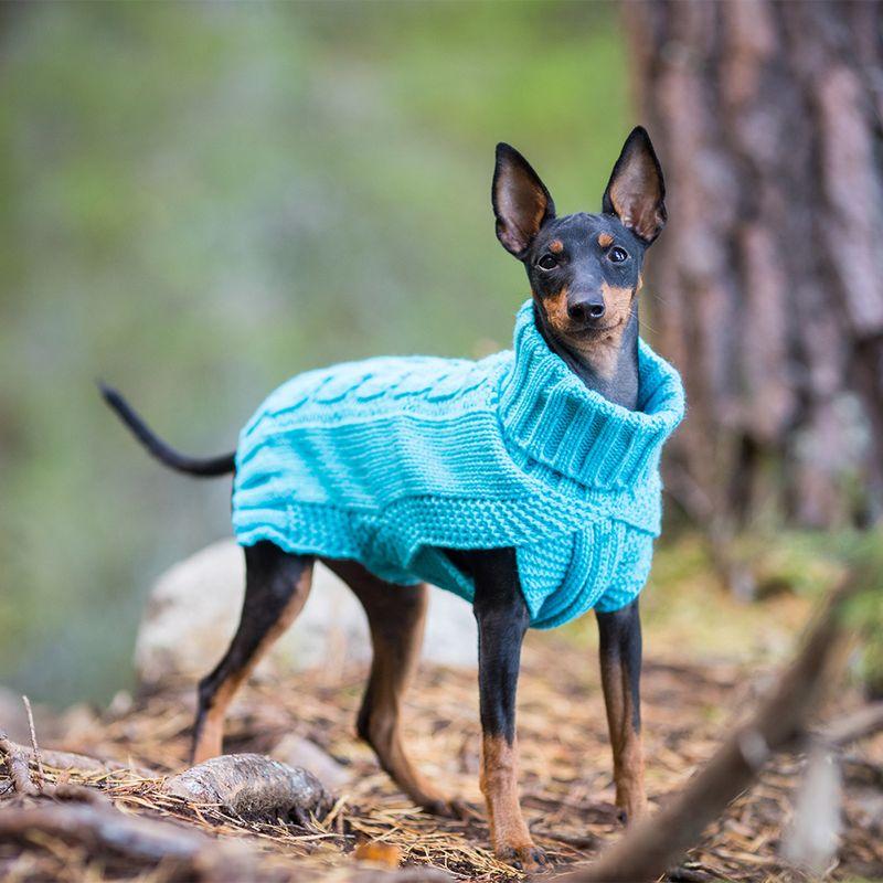 Bitiba Pullover per cani Rukka® Wooly - turchese Fino al 65% di sconto