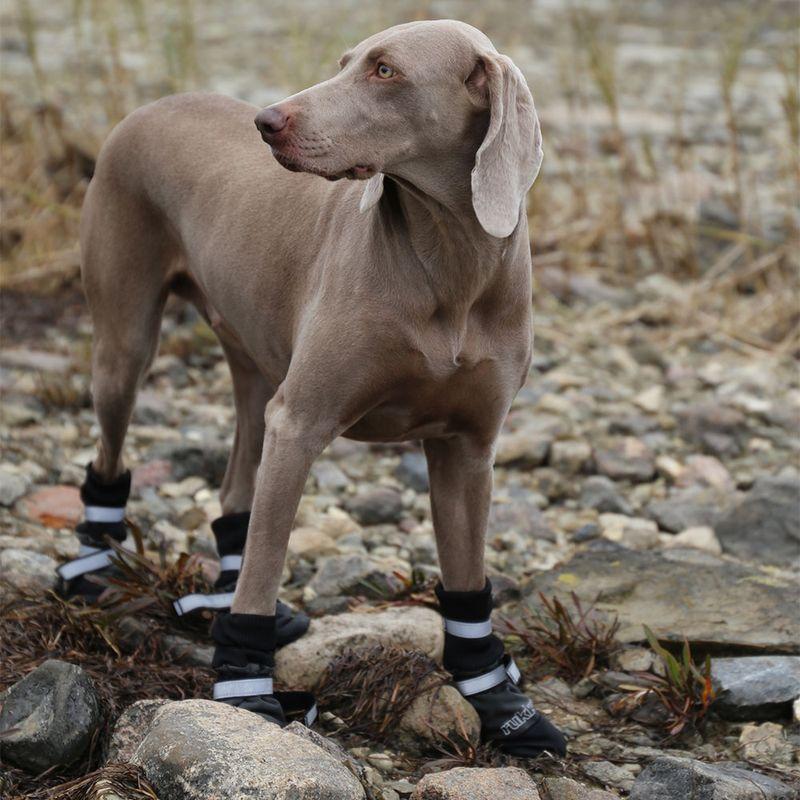 Bitiba Scarpe invernali per cani Rukka® Thermo nere Enormi sconti