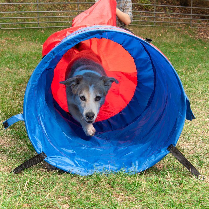 Bitiba Tunnel morbido Agility Fun & Sport Soddisfazione Garantita