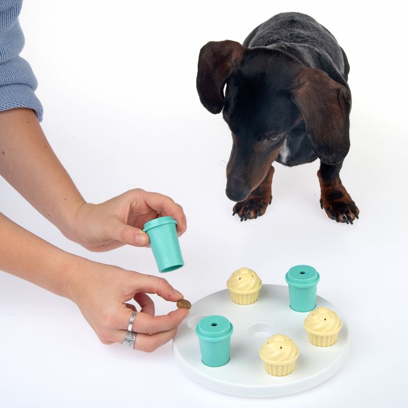Bitiba Gioco TIAKI Breakfast per cani Negozi Online