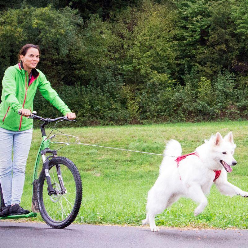 Bitiba Guinzaglio tascabile ultra resistente Curli Sottocosto
