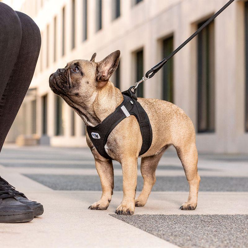 Bitiba Pettorina curli Vest Clasp Air-Mesh - nera In Saldo