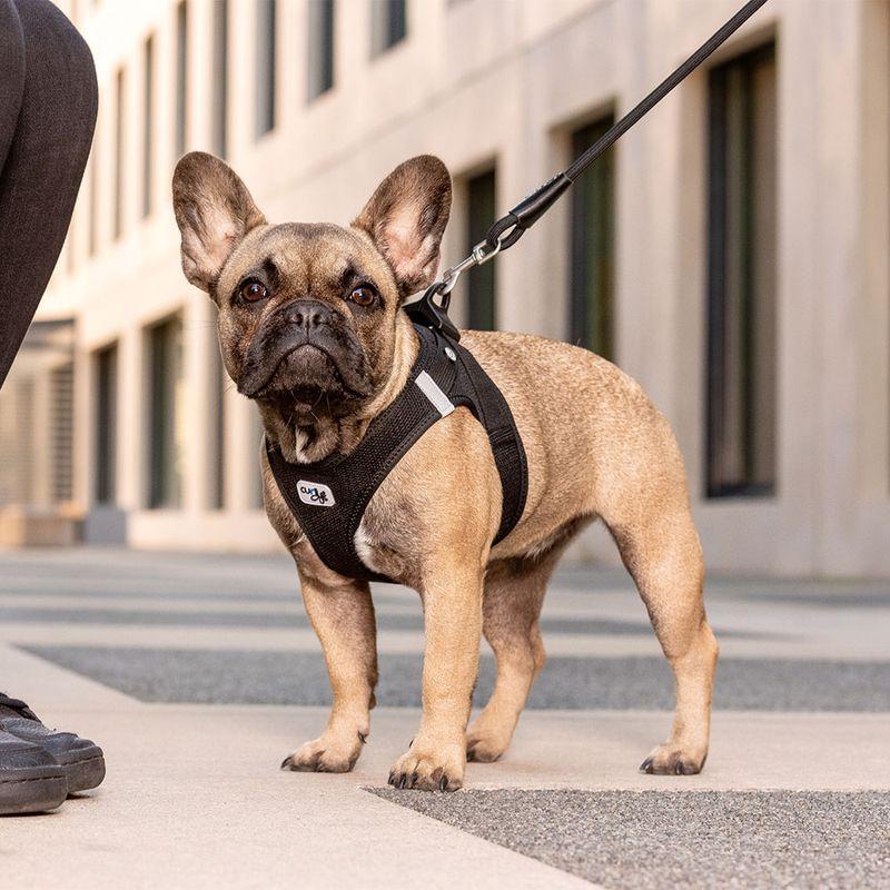Bitiba Pettorina curli Vest Clasp Air-Mesh - nera In Saldo