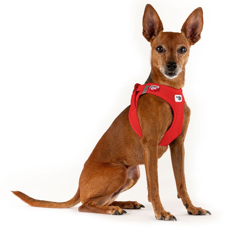 Bitiba Pettorina curli Vest Clasp Air-Mesh - rossa Nuova