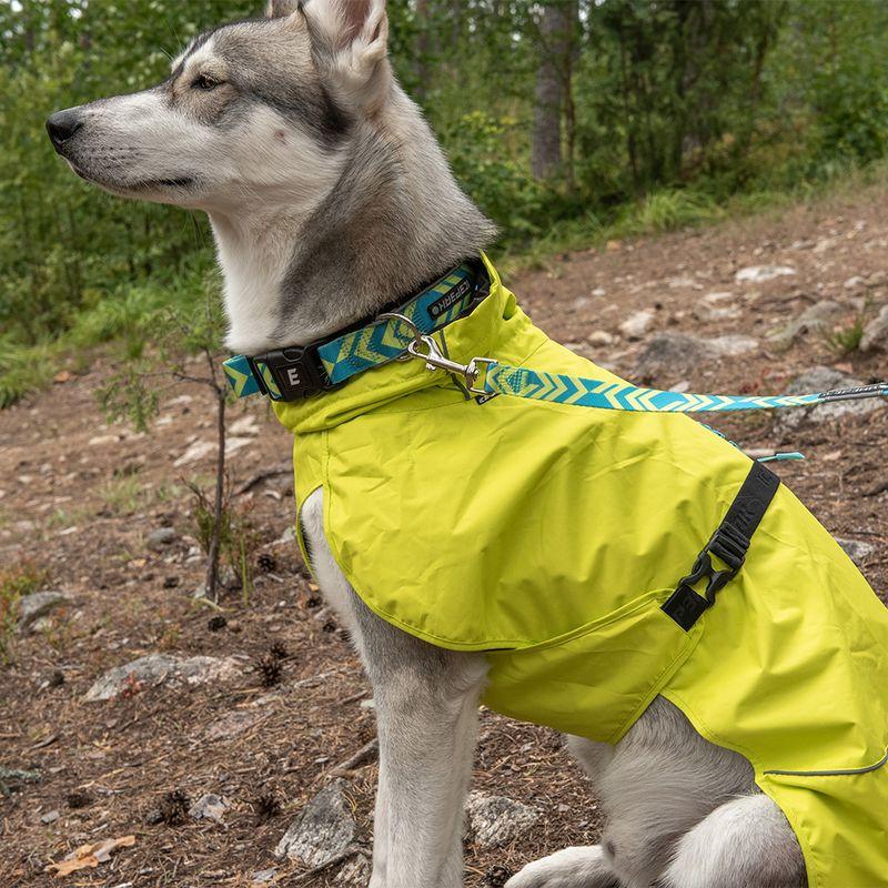 Bitiba Guinzaglio Icepeak Pet® Live aqua Moda