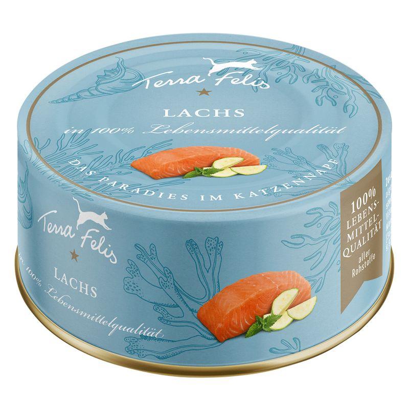 Bitiba Terra Felis Complete 12 x 80 g umido per gatti Comprare a buon mercato