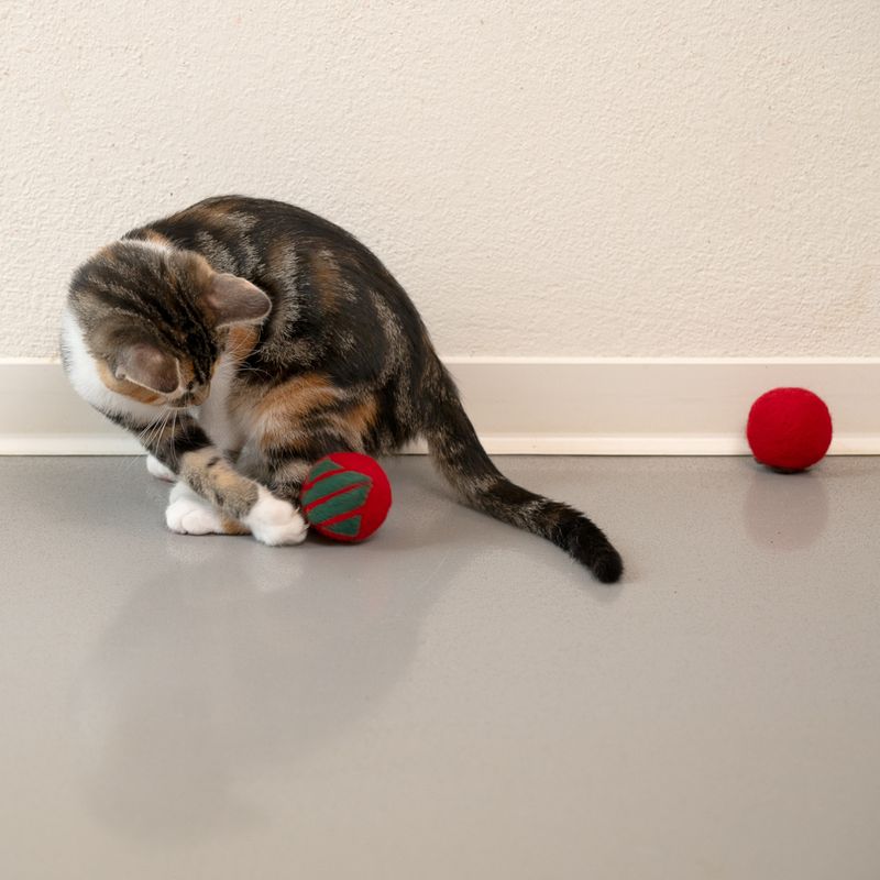 Bitiba Palline di lana Modern Living Laponia per gatto Offerta esclusiva