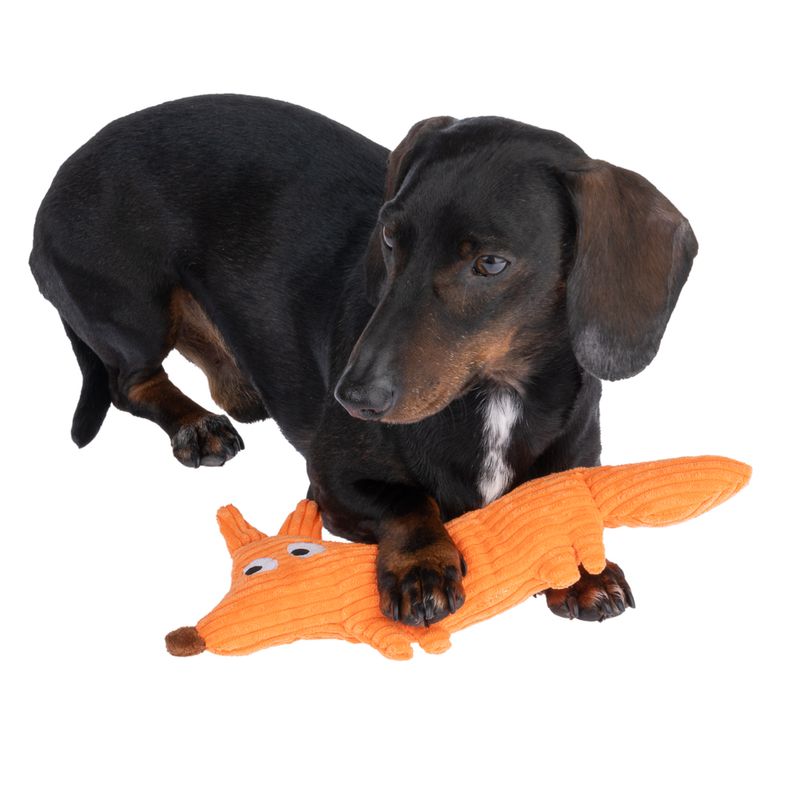 Bitiba Gioco per cani TIAKI James Corduroy Lightning offer