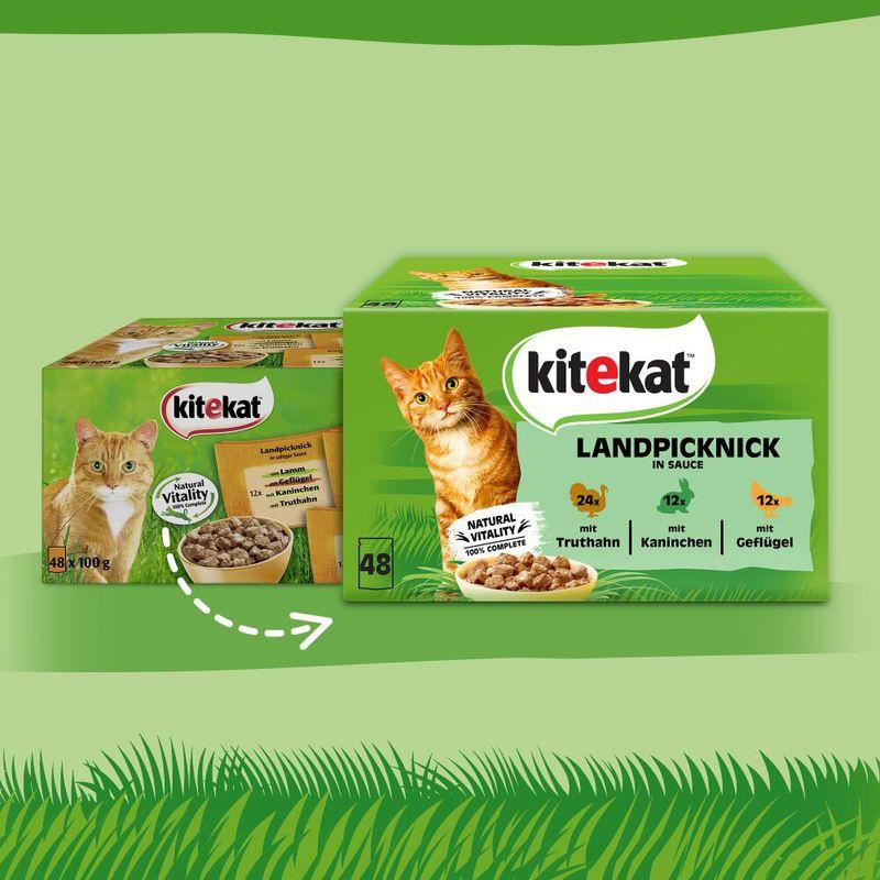 Bitiba Kitekat in buste 48 x 85 g Umido per gatto Duty-free