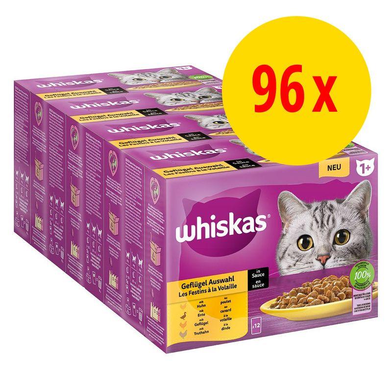 Bitiba Megapack Whiskas 1+ buste 96 x 85 g Alimento umido per gatto