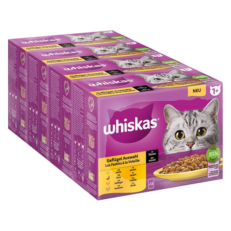 Bitiba Megapack Whiskas 1+ buste 96 x 85 g Alimento umido per gatto Italia