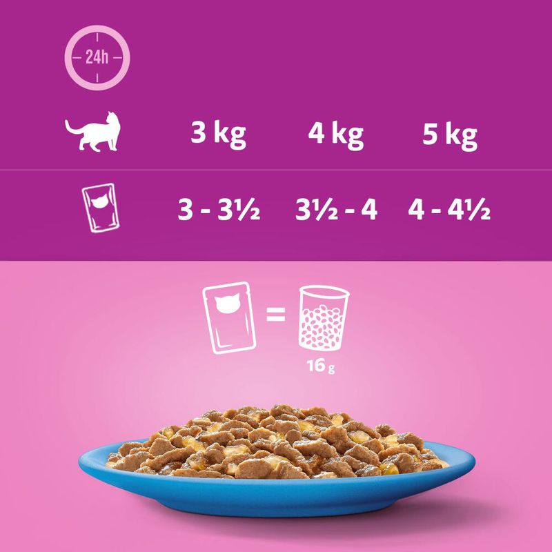 Bitiba Megapack Whiskas 1+ buste 96 x 85 g Alimento umido per gatto Italia