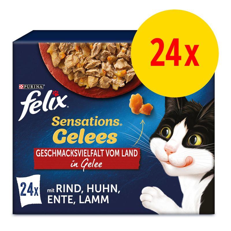 Bitiba Fai scorta Felix Sensations in Gelatina 24 x 85 g