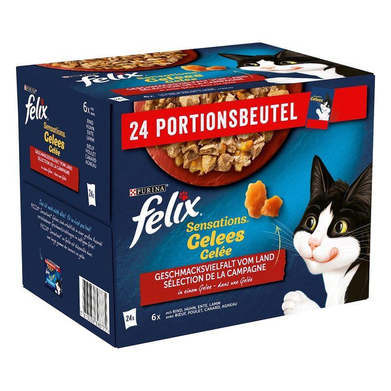 Bitiba Fai scorta Felix Sensations in Gelatina 24 x 85 g Promozione