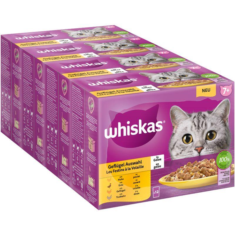 Bitiba Whiskas Senior buste 48 x 85 g Alimento umido per gatti Acquista Ora