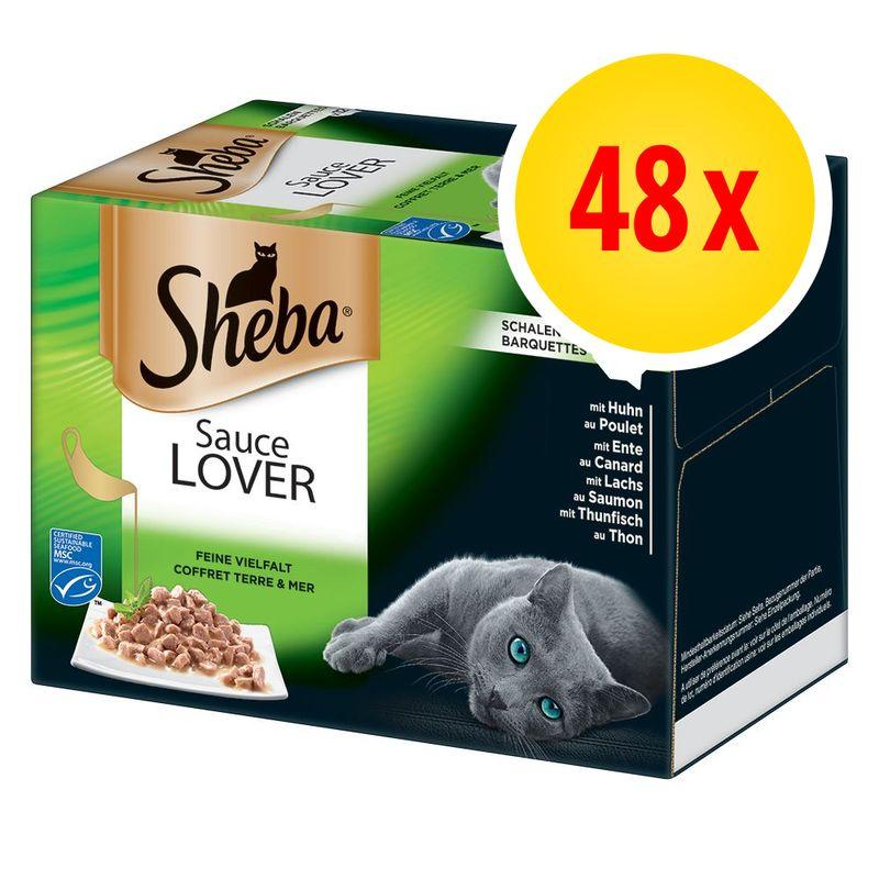 Bitiba Fai scorta Sheba vaschette 48 x 85 g