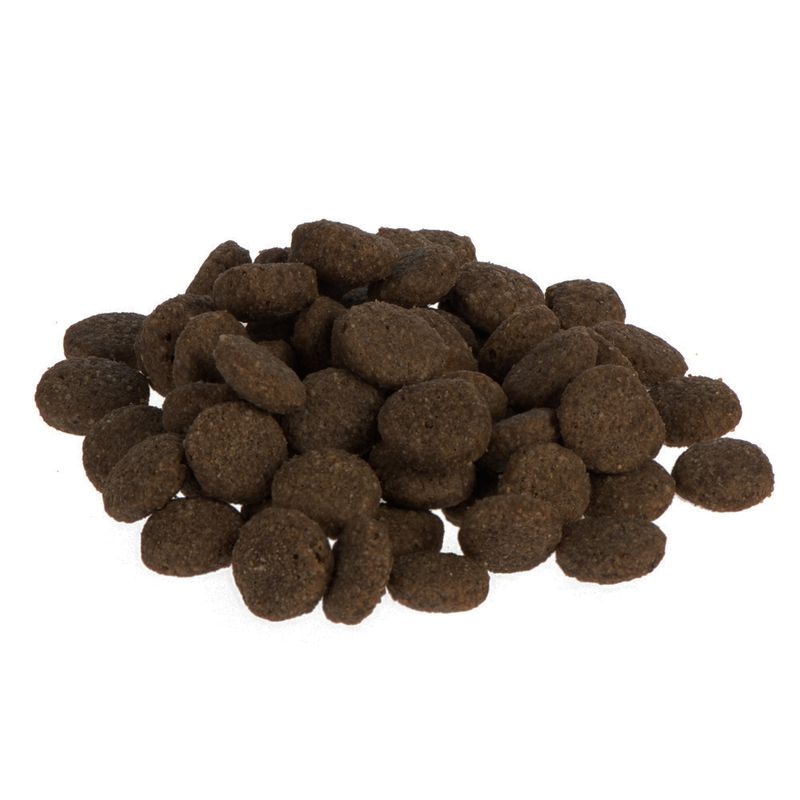 Bitiba Fai scorta Purizon Single Meat Adult 2 x 12 kg Crocchette per cani Offerta natalizia