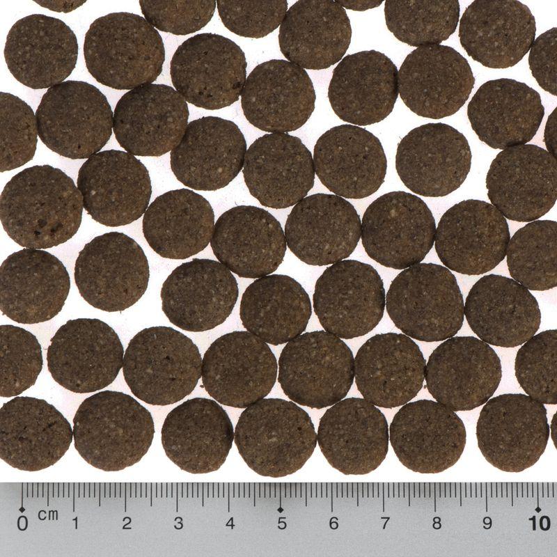 Bitiba Fai scorta Purizon Single Meat Adult 2 x 12 kg Crocchette per cani Offerta natalizia
