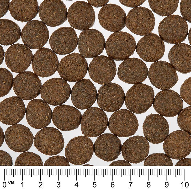 Bitiba Fai scorta Greenwoods 2 x 12 kg Crocchette per cani Offerta San Valentino