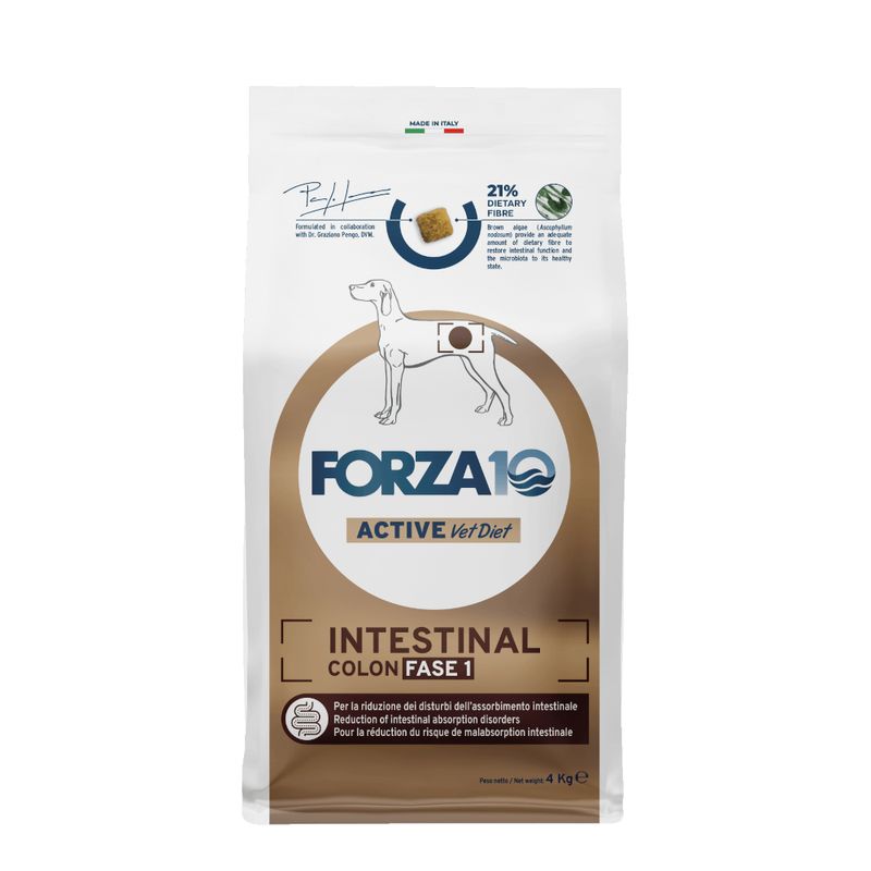Bitiba Forza10 Active Line Intestinal Colon Fase 1 Crocchette per cane Grandi sconti