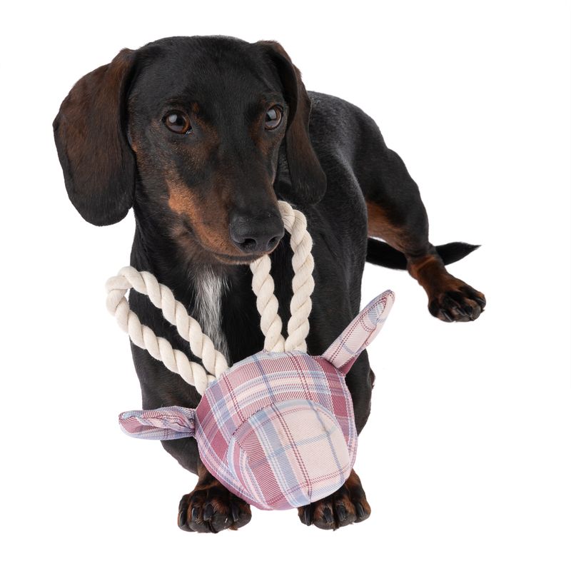 Bitiba Gioco per cani TIAKI giraffa con corda Fino al 50% di sconto
