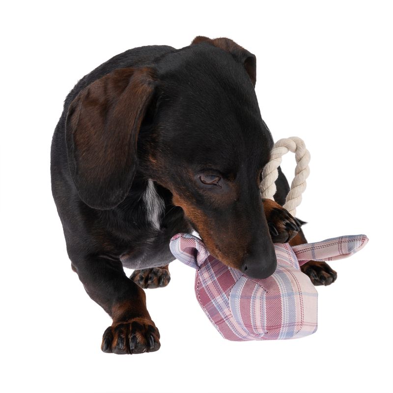 Bitiba Gioco per cani TIAKI giraffa con corda Fino al 50% di sconto
