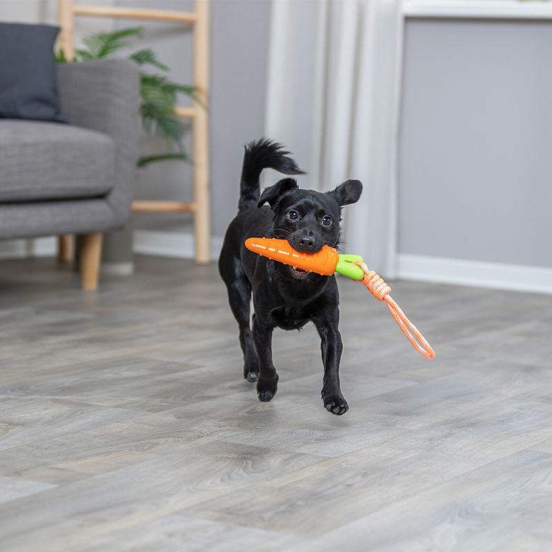 Bitiba Gioco per cani Trixie Carota con corda Only for today