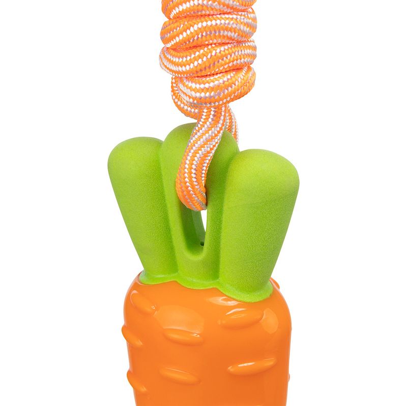 Bitiba Gioco per cani Trixie Carota con corda Only for today