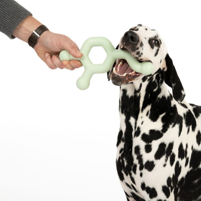 Bitiba Nomad Tales Bloom Giocattolo per cani Molecule Solo un giorno rimasto