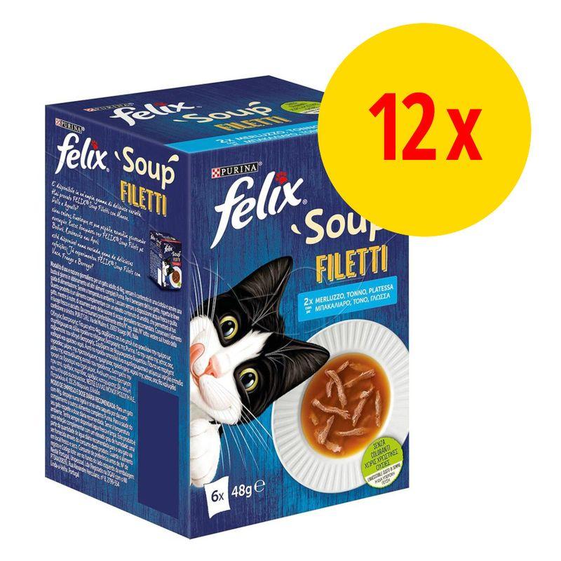 Bitiba Felix Soup Filetti 12 x 48 g Alimento umido per gatti Esporta salva