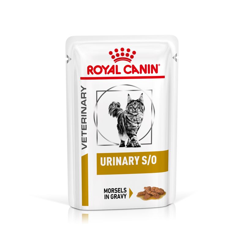 Bitiba Royal Canin Urinary S/O Feline Veterinary in Salsa umido per gatti In vendita