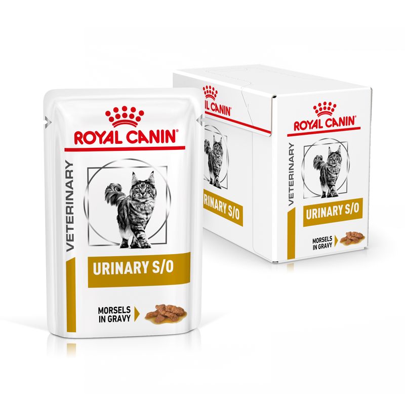 Bitiba Royal Canin Urinary S/O Feline Veterinary in Salsa umido per gatti In vendita