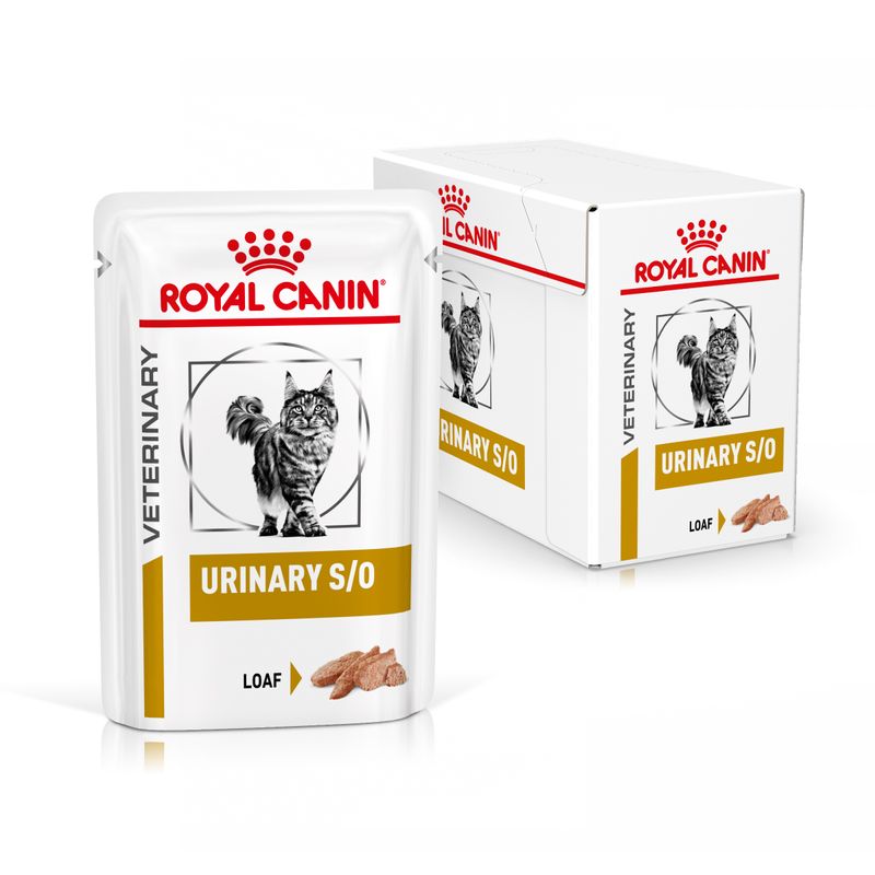 Bitiba Royal Canin Urinary S/O Feline Veterinary in Salsa umido per gatti In vendita
